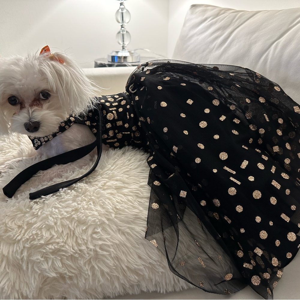 Formal Dog Dress